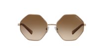 Armani Exchange AX 2035S 6103/13