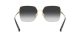 Dolce & Gabbana DG 2242 1334/8G