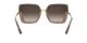 Dolce & Gabbana DG 4373 3256/13