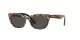 Dolce & Gabbana Kids DX 4427 316387