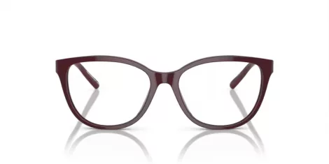 Emporio Armani EA 3190 5576