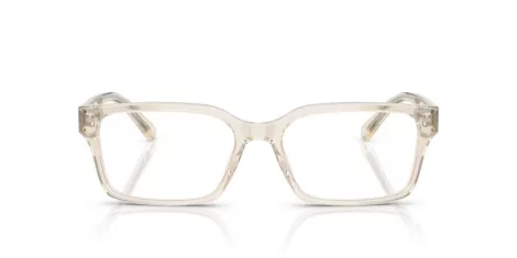 Emporio Armani EA 3244 6179