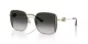 Coach Cad72 HC 7177B 90053C