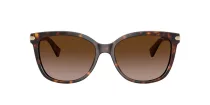 Coach L109 HC 8132 529113