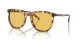 Coach Cl911 HC 8384U 504585