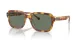 Coach Cl914 HC 8388U 57563H