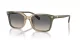 Coach Cr630 HC 8398U 5797G9