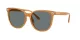 Coach Cw428 HC 8414BD 585580