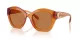 Coach Cad31 HC 8421U 564773