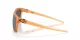 Oakley Leffingwell OO 9100 19