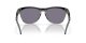 Oakley Frogskins Hybrid OO 9289 07