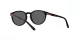 Polo PP 9502 5001/87