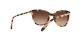 Ralph RA 5203 146313