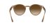 Ray-Ban RB 2180 6166/13
