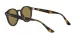 Ray-Ban RB 2180 710/73 Férfi, Női napszemüveg
