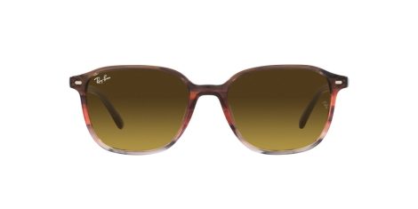 Ray-Ban Leonard RB 2193 138085