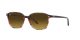 Ray-Ban Leonard RB 2193 138085