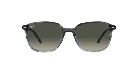 Ray-Ban Leonard RB 2193 138171