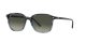Ray-Ban Leonard RB 2193 138171