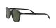 Ray-Ban Leonard RB 2193 901/31