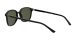 Ray-Ban Leonard RB 2193 901/31