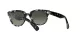 Ray-Ban Orion RB 2199 1333/71