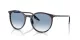 Ray-Ban RB 2204 14303F