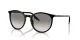 Ray-Ban RB 0RB2204 901/32