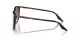 Ray-Ban RB 0RB2204 902/51