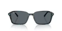 Ray-Ban Raimond RB 2231 1417R5