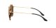 Ray-Ban Round RB 2447 1160