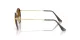 Ray-Ban Round Metal RB 3447 927533