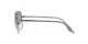 Ray-Ban RB 3699 004/3F Ray-Ban RB 3699 004/3F