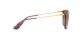 Ray-Ban Erika RB 4171 6591/14