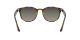Ray-Ban RB 4259 710/11