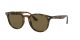 Ray-Ban RB 4259 710/73