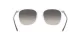 Ray-Ban RB 4387 6477/11
