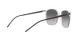Ray-Ban RB 4387 6477/11