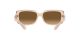 Ray-Ban RB 4389 6644/M2