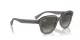 Ray-Ban Erik RB 0RB4398 667571
