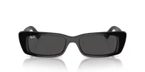 Ray-Ban Teru RB 4425 667787
