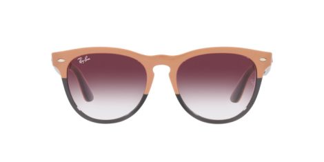 Ray-Ban Iris RB 4471 6633/8H