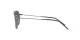 Ray-Ban Caravan Reverse RB R0102S 004/GA