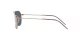 Ray-Ban Caravan Reverse RB R0102S 92023A