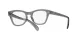 Ray-Ban RX 0707V 8199
