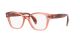 Ray-Ban RX 0880 8177