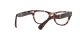 Ray-Ban Laramie RX 2201V 8118