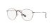 Ray-Ban Round Metal RX 3447V 3120