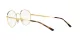 Ray-Ban RX 3681V 2500