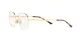 Ray-Ban RX 3682V 2500